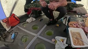 ЛУЧШАЯ РЫБАЛКА!ЗАБРАЛИСЬ в КАМЫШИ ГДЕ ТОННА РЫБы!ЖИВЁМ на ЛЬДУ в ПАЛАТКЕ!