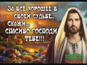 С РОЖДЕСТВОМ ВАС ХРИСТОВЫМ! ПУСТЬ ЧАША МИРА БУДЕТ ПОЛНА!