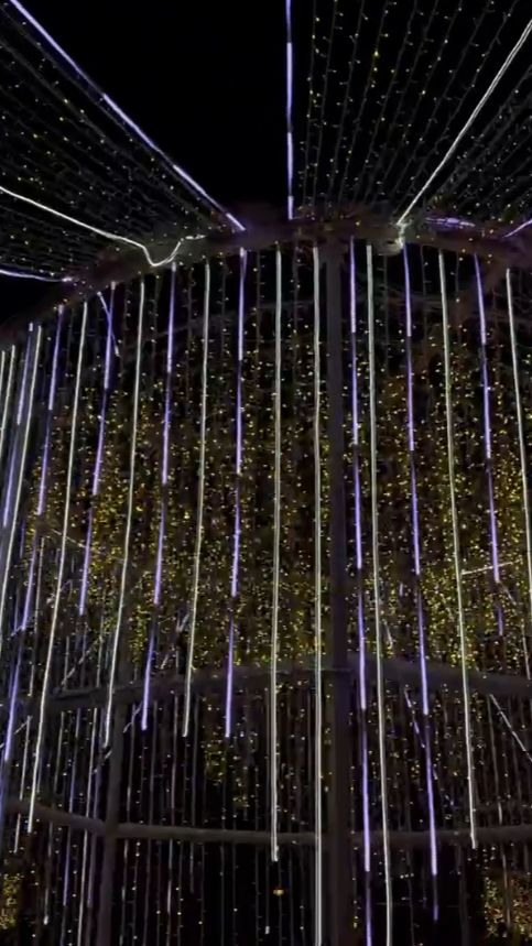 Зима, Санкт-Петербург, Россия #зима #новыйгод2026 #россия #рождество #январь2026 #питер #погулять смотреть онлайн