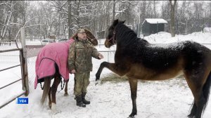 В Уфе «Конный дворик у Садко» стал центром социальной реабилитации