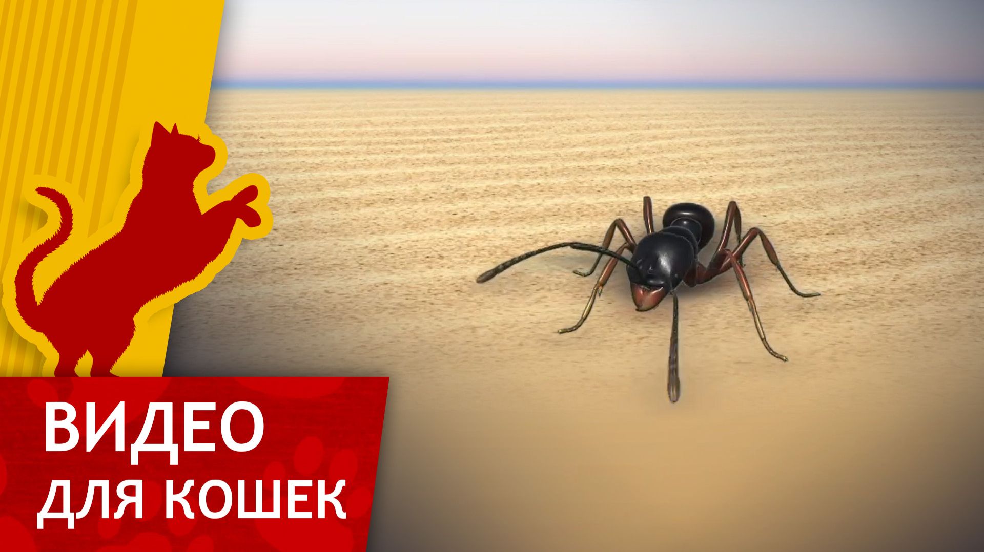 Видео для кошек - Муравей в пустыне (Ваш кот будет доволен!) смотреть онлайн