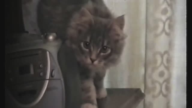 Нерпочка смотреть онлайн