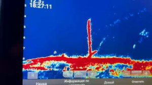 Panoptix экскорт .mp4