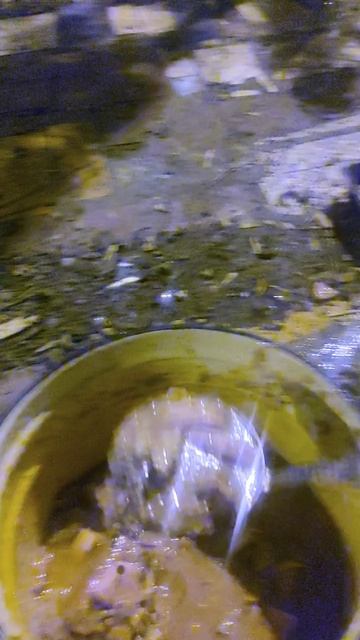 Волшебный супчик для гуляк.