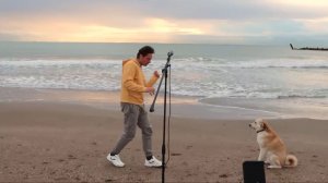 На Заре - Этот парень исполнил оригинал 1987 года группы Альянс