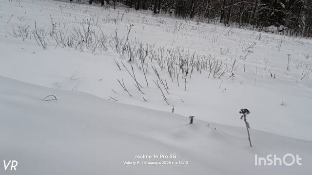 Лыжная прогулка #25 ❄️🌲❄️⛷️❄️🌲❄️ 05.01.2026 смотреть онлайн