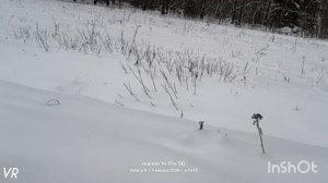 Лыжная прогулка #25 ❄️🌲❄️⛷️❄️🌲❄️   05.01.2026