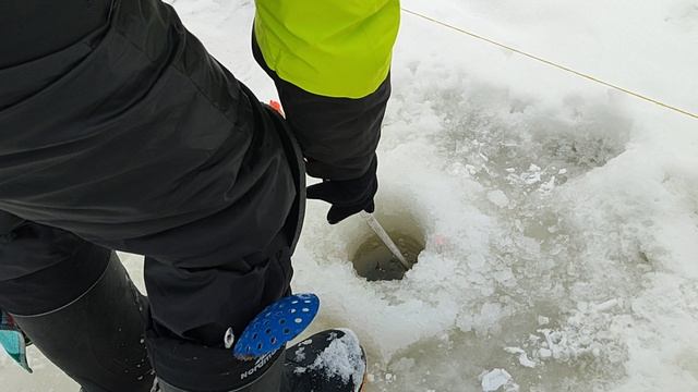 Основной водоём. смотреть онлайн