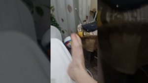 5 ночей с пронько 2 ночь