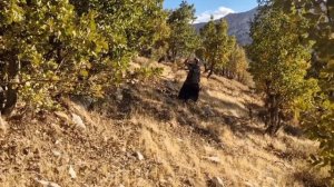 Кочевая жизнь@ Иран @ 121 часть