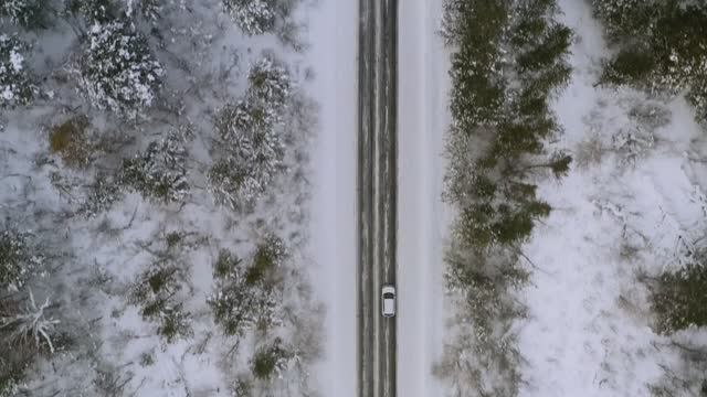Музей-заповедник Томская Писаница - Томская Писаница - тысячи лет истории на одной территории смотреть онлайн