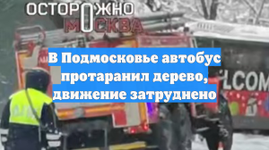 В Подмосковье автобус протаранил дерево, движение затруднено