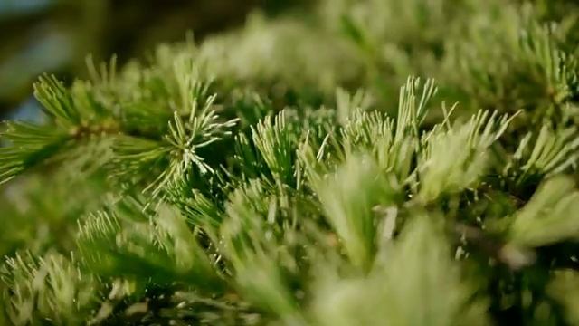 Резиденция Сантерра Крым смотреть онлайн