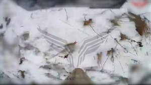 Живая сила противника. «Рубикон» продолжает атаковать пехоту ВСУ в зоне СВО