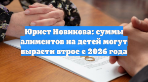 Юрист Новикова: в ряде случаев сумма алиментов на детей утроится в 2026 году