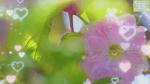 Исцеляющая музыка для сердца и души 🌿 Снятие стресса