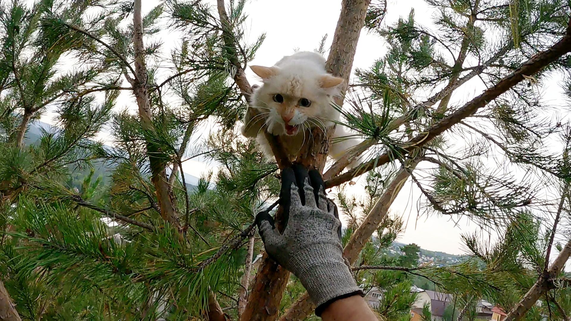 Каспер раскорячился смотреть онлайн