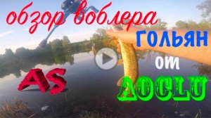 Гольян от Aoclu - обзор и тест воблера,  подводная съемка . снасти приманки.