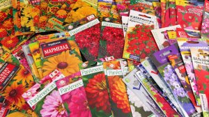 Обзор семян цветов на 2026 год