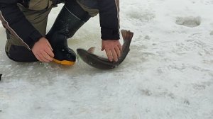 Основной водоём. На Моргалку.