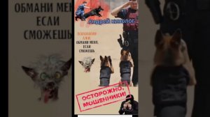 Цирк уродцев