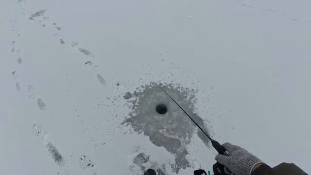 ОПУСТИЛ БАЛАНСИР ПОД ЛЁД, МОЩНЫЙ УДАР И НАЧАЛАСЬ БОРЬБА! Рыбалка на щуку и окуня 2025.