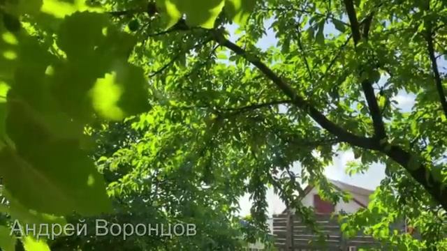 Любовь не спрашивает возраст. смотреть онлайн