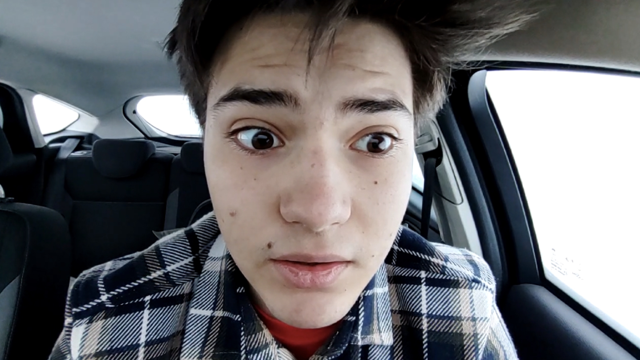 Голубь смотреть онлайн