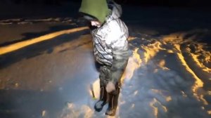 КЛЁВОЕ НАЧАЛО 2026 ГОДА НА ЛЮБИМОМ ЕТЫ-ПУРЕ! МАКСИМ ВСЕХ РЫБ ИЗЛОВИЛ И ПАПКУ ОБЛОВИЛ)!