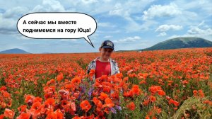 Восхождение на гору Юца, через океан маков / 2025 / Пятигорск ~ Ессентуки