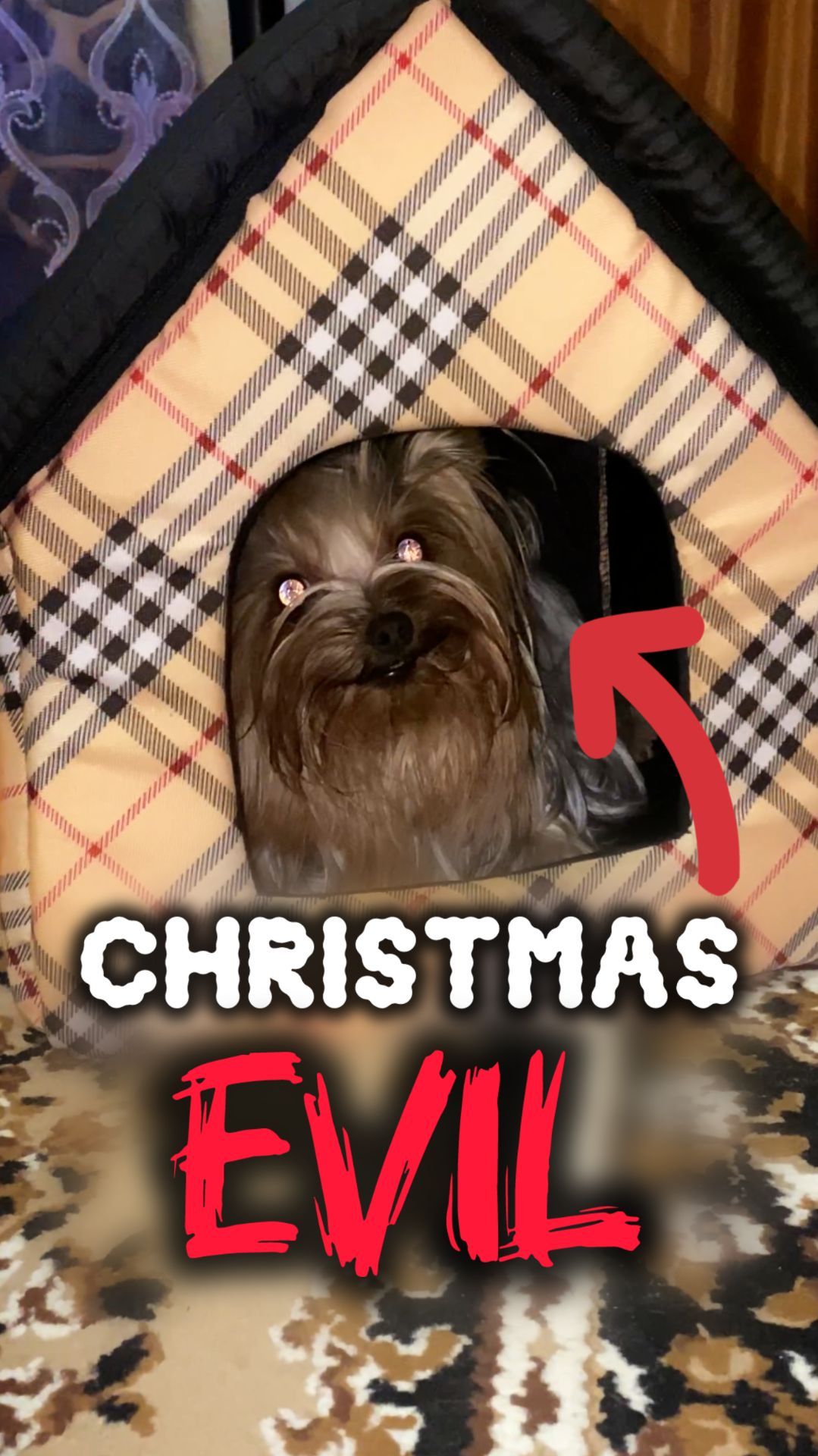 Когда НЕТ НАСТРОЕНИЯ в Новый год 🎄🚫🔥 смотреть онлайн