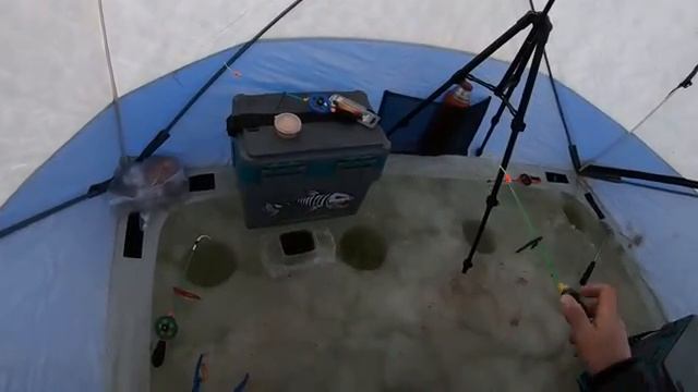 В поиске мирной рыбы и обзор снастей для зимней рыбалки