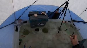 В поиске мирной рыбы и обзор снастей для зимней рыбалки