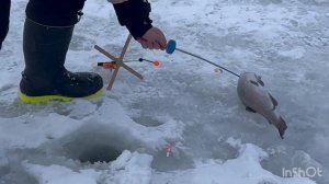 Спортзона.Онлайн