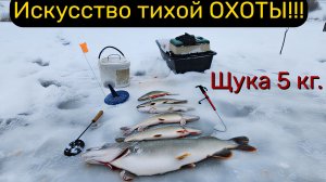 ⚡️Рыбацкое счастье - Щука 5 кг⭐️ Зимняя рыбалка-2026 на Жерлицы на Диком пруду !!
