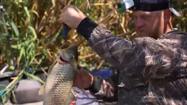 РЫБАЛКА С НОЧЁВКОЙ НА САЗАНА и СОМА. ВСЯ РЫБА ВЫШЛА К ОБЕДУ. Рыбалка на Волге. смотреть онлайн