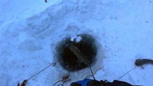 ПЕРЕМЕТ | ПРОВЕРКА 07.01.2026