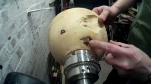 Яблоневое дерево