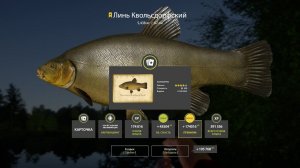 ФАРМИМ НА МЕДНОМ НА НОВЫЕ КАТЫ И ЗАДАНИЯ В РУССКОЙ РЫБАЛКЕ 4 СТРИМ