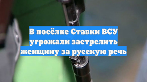 В посёлке Ставки ВСУ угрожали застрелить женщину за русскую речь