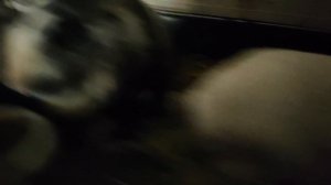 Саратов они творят БЕСПРЕДЕЛ когда выходят из клетки👹