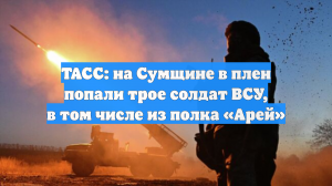 В Сумской области ВС России взяли в плен боевика полка ВСУ «Арей»