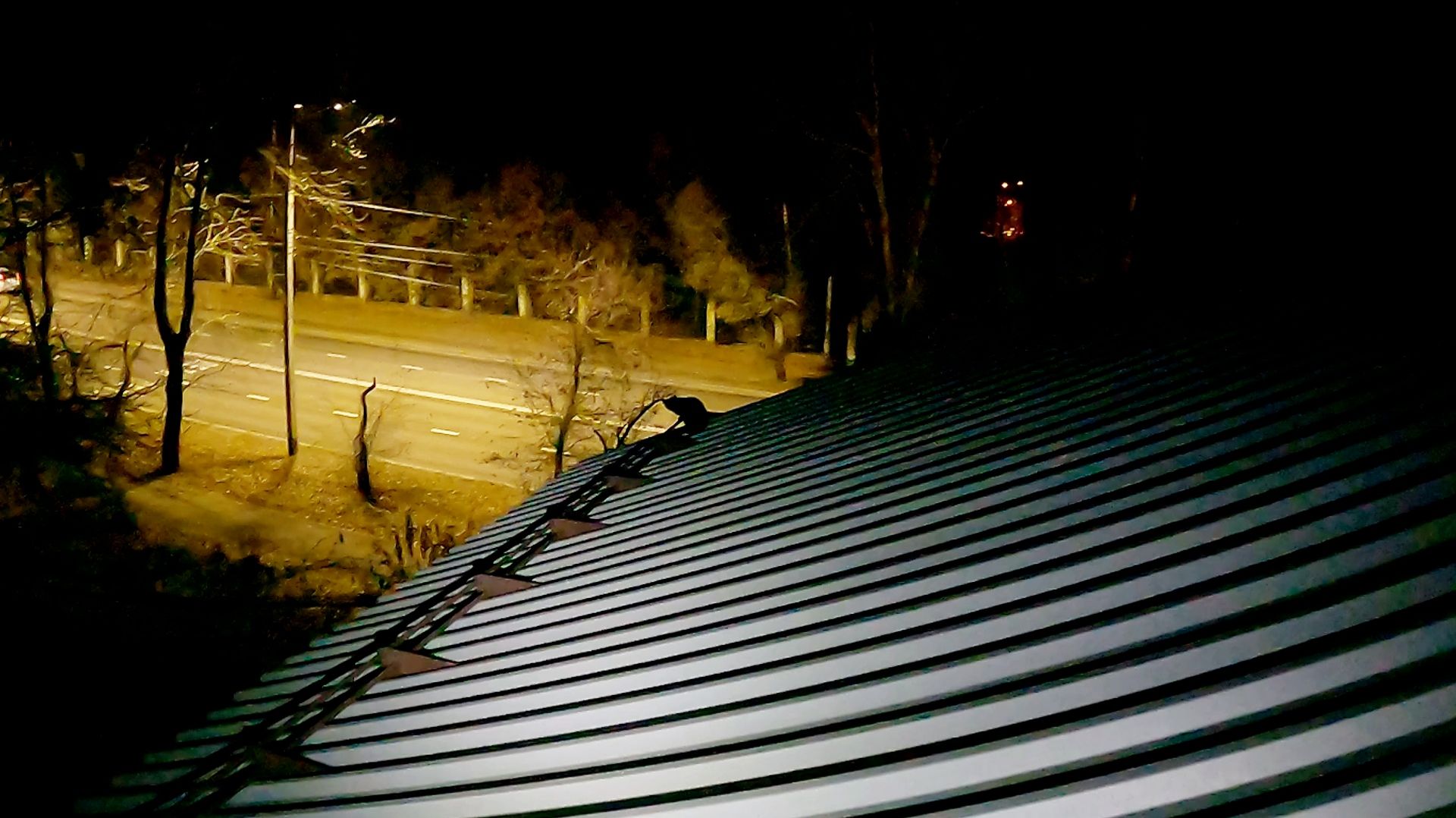 Васечкин кродёться... смотреть онлайн