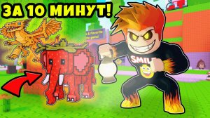 Как Легко Найти Всех Брейнротов с Админкой в Find the Brainrot Roblox