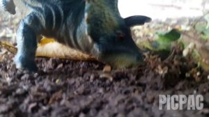 World of animals: young triceratops (мини-сериал)