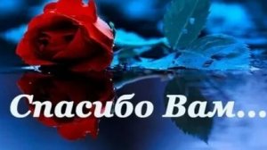 Слова,которые согревают-встречаем день спасибо. Красивая музыкальная открытка.