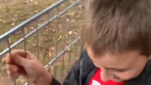 Улетаю на гаити 3 часть возращение