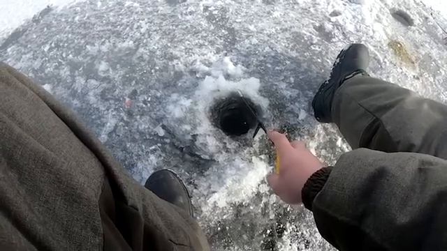 Ловля плотвы на покаток с кормушкой, рыбалка в заливе Днепра.