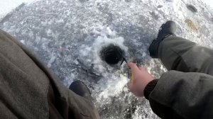 Ловля плотвы на покаток с кормушкой, рыбалка в заливе Днепра.