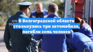 В Волгоградской области столкнулись три автомобиля, погибли семь человек